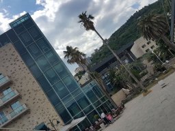 19366563_227948941057704_2700747826410692590_n